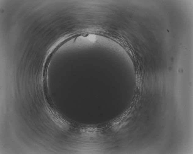 X0000085040196200704021302