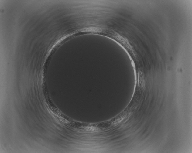 X0000085040204200704021302