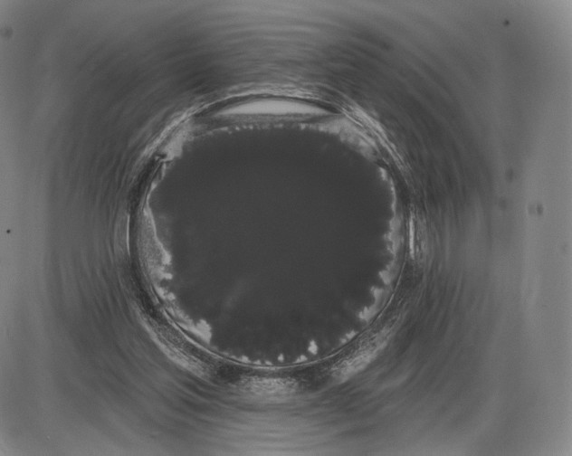 X0000085040205200704021302