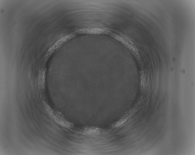 X0000085040206200704021302