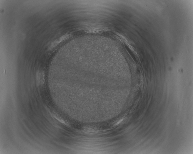 X0000085040211200704021302