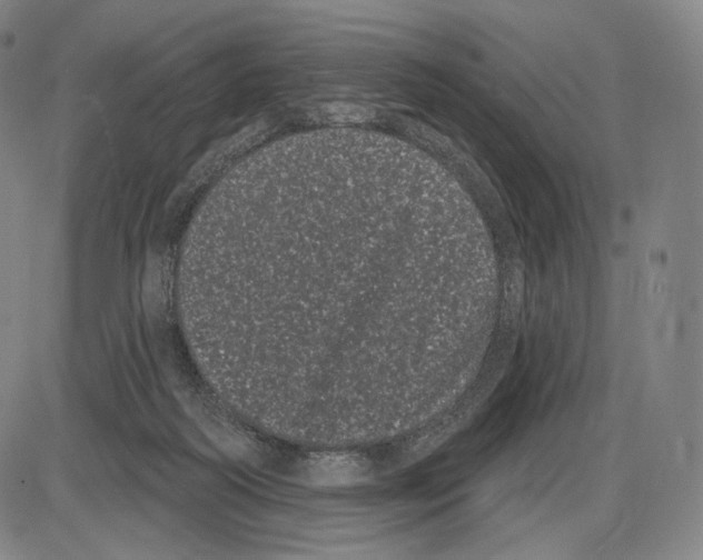 X0000085040218200704021302