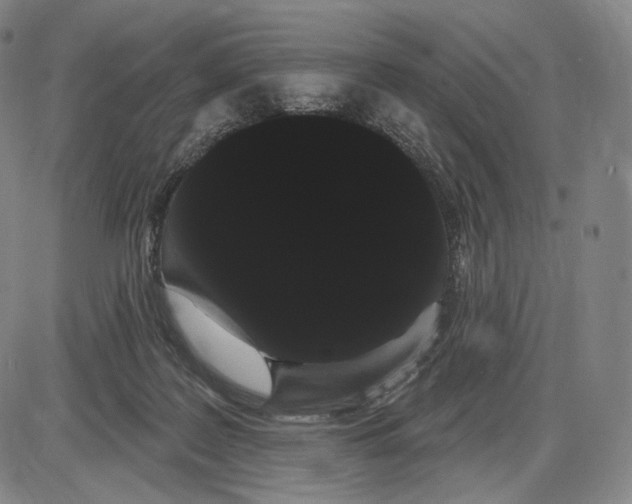 X0000085040219200704021302