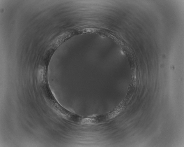 X0000085040222200704021302