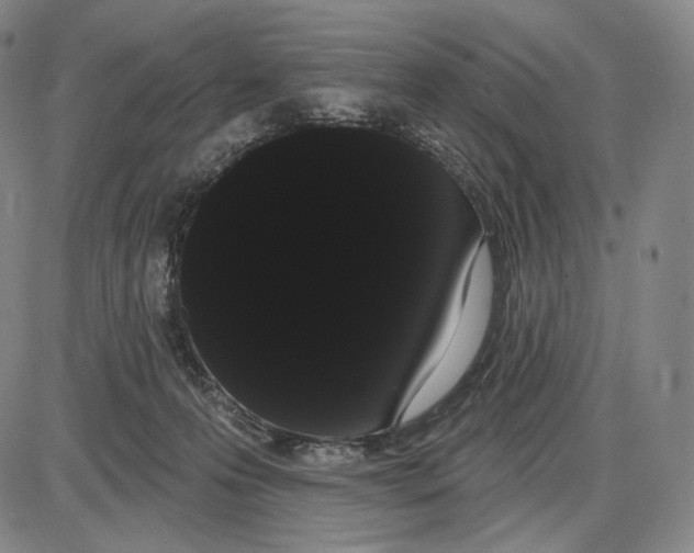 X0000085040223200704021302