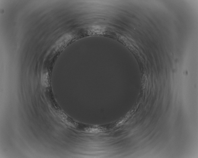 X0000085040224200704021302