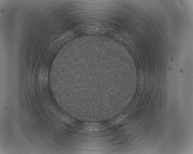 X0000085040226200704021302