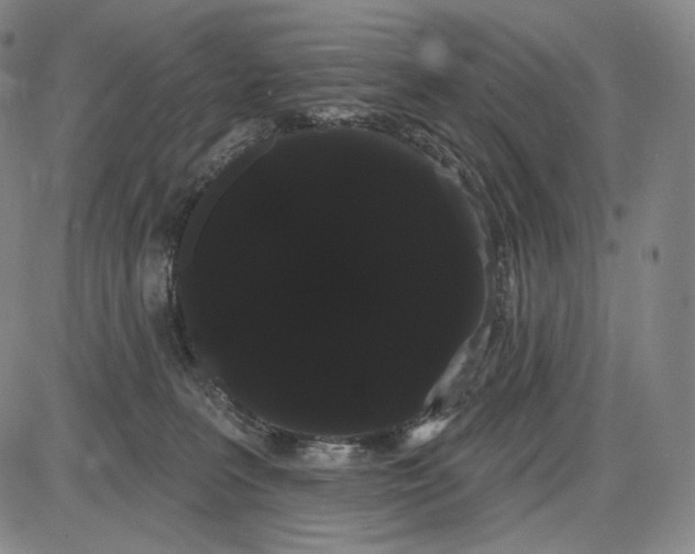 X0000085040227200704021302