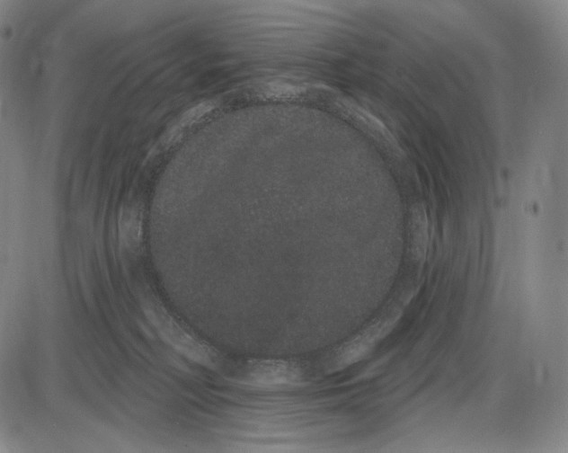 X0000085040230200704021302