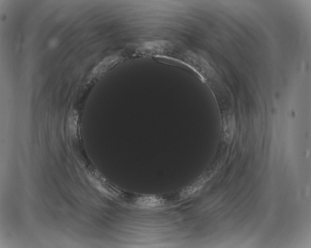 X0000085040231200704021302