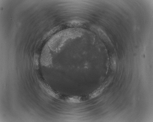 X0000085040232200704021302