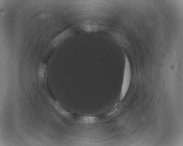 X0000085040233200704021302