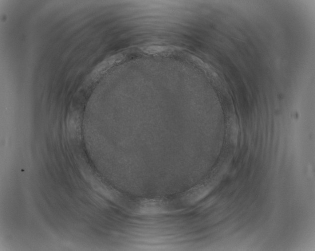 X0000085040234200704021302
