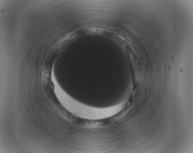 X0000085040235200704021302