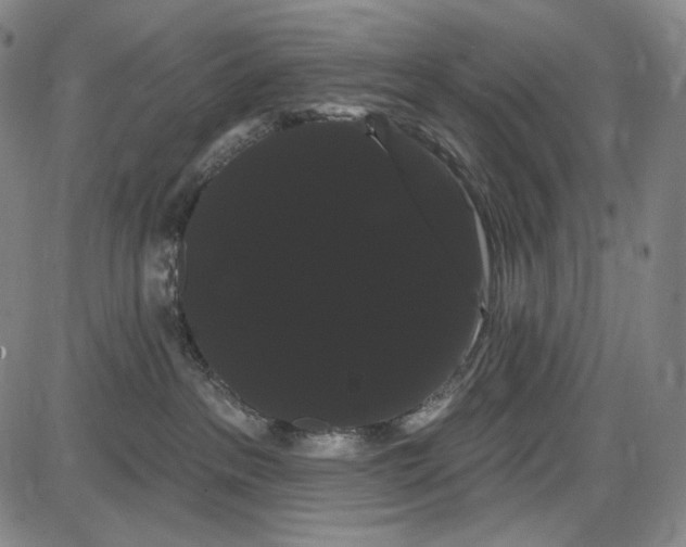 X0000085040237200704021302
