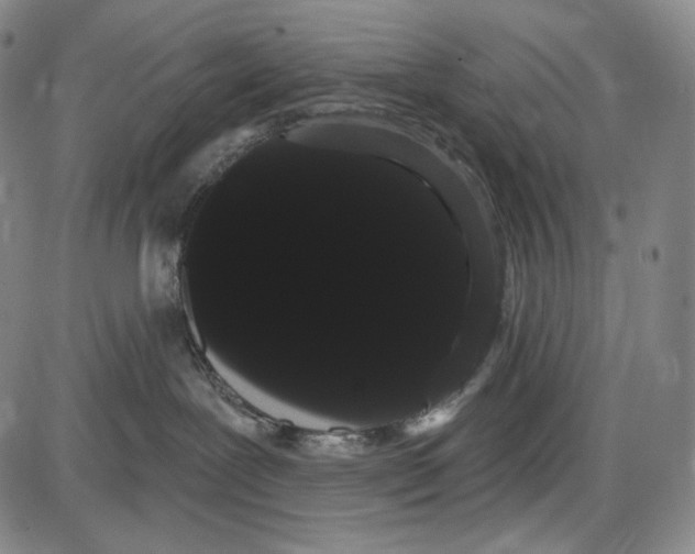X0000085040239200704021302