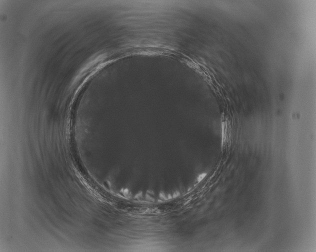X0000085040243200704021301