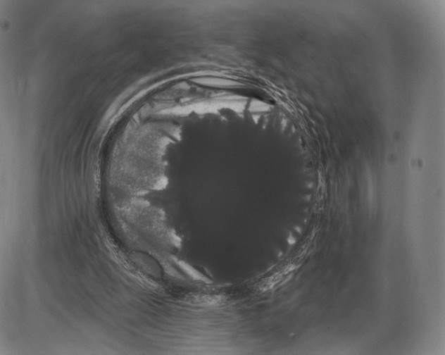 X0000085040247200704021301