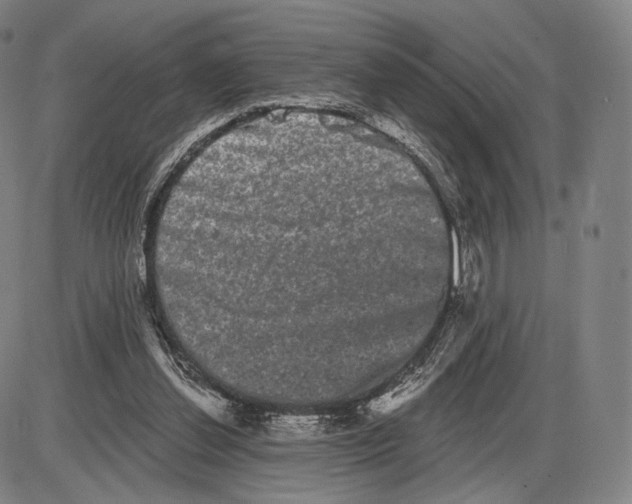 X0000085040252200704021301