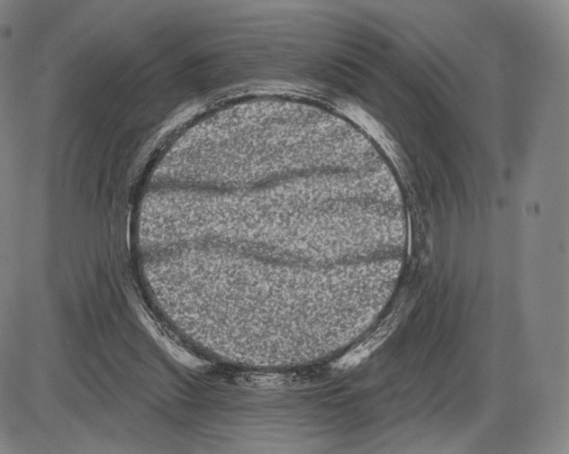 X0000085040253200704021301