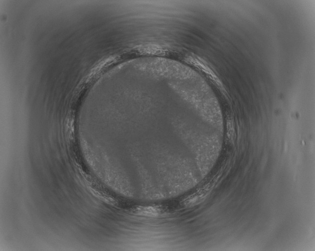 X0000085040259200704021301