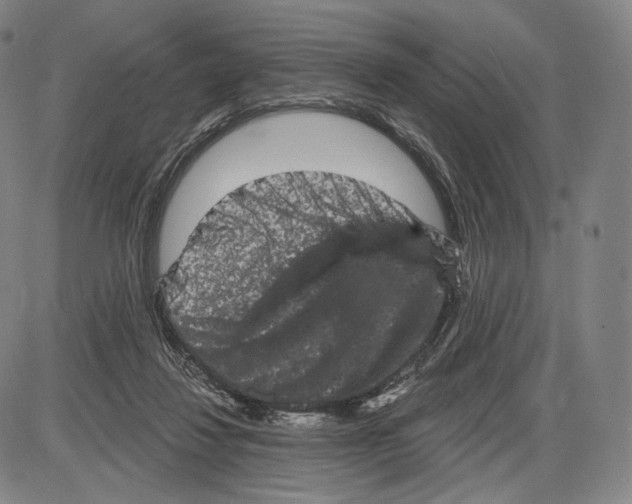 X0000085040260200704021301