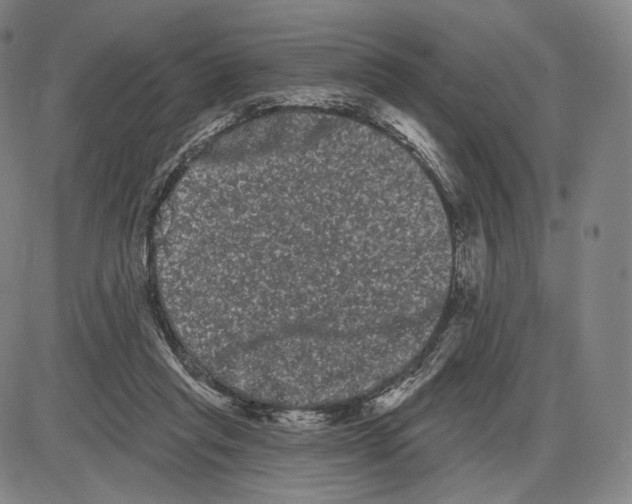 X0000085040261200704021301