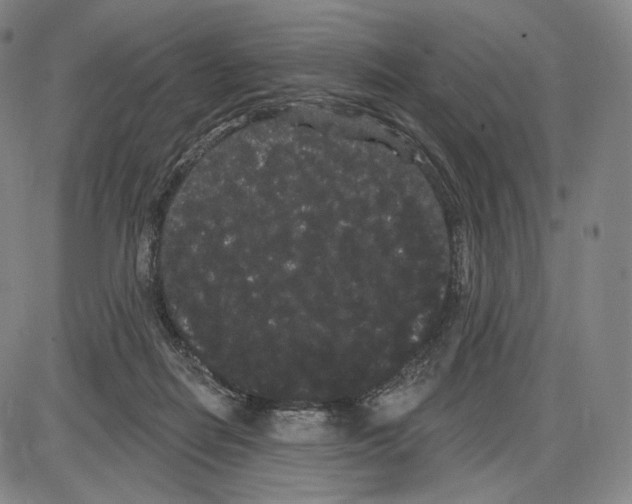 X0000085040266200704021301