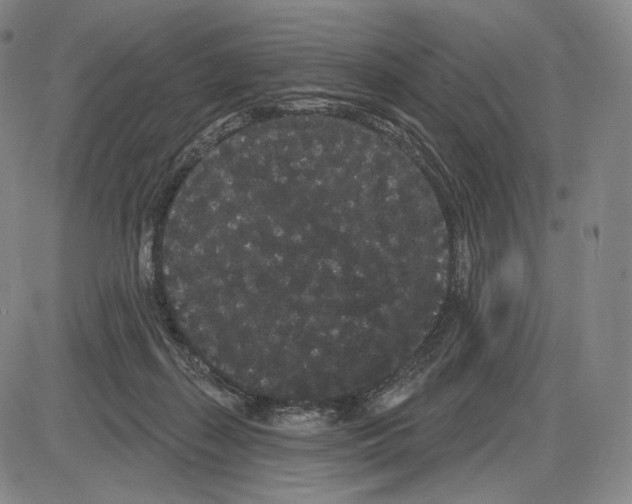 X0000085040267200704021301