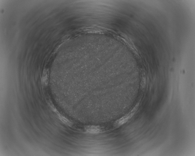 X0000085040273200704021301