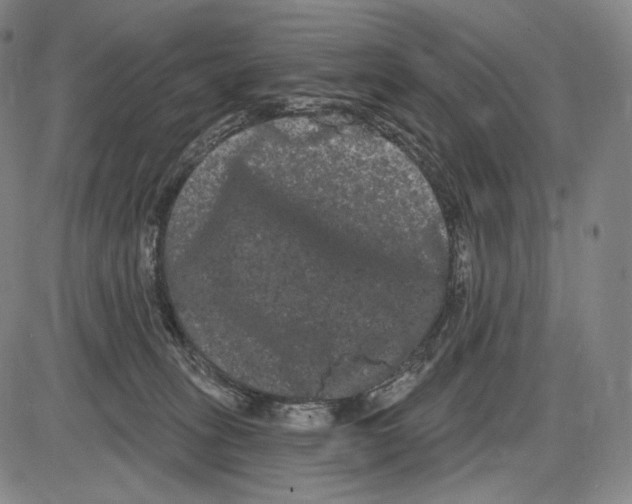 X0000085040275200704021301