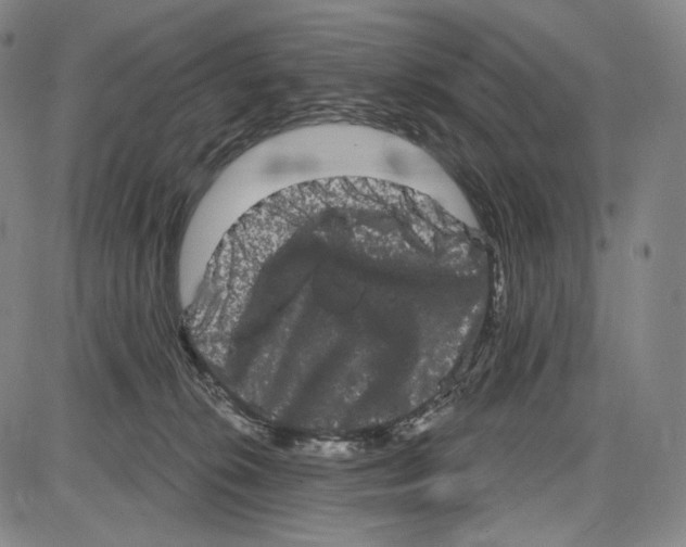 X0000085040276200704021301