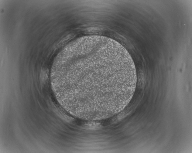 X0000085040278200704021301