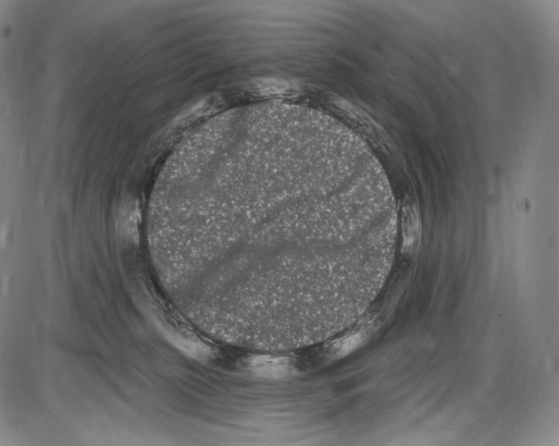 X0000085040279200704021301