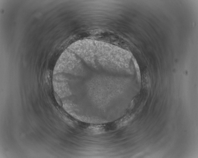 X0000085040280200704021301