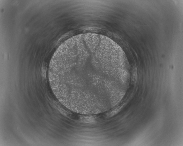 X0000085040282200704021301