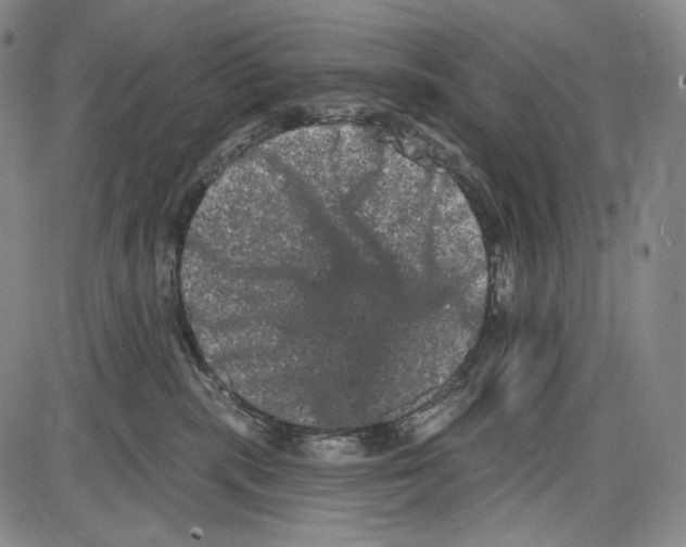 X0000085040283200704021301