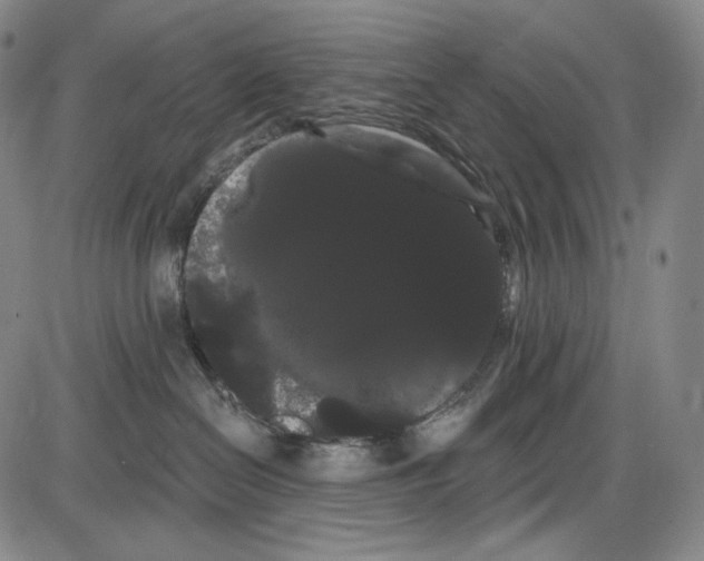 X0000085040286200704021301