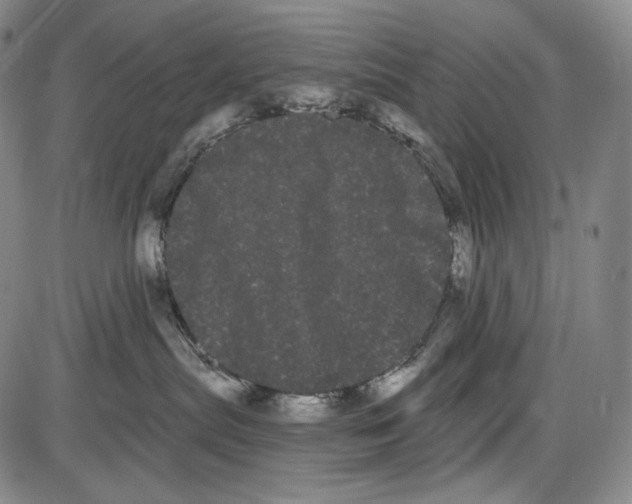 X0000085040287200704021301