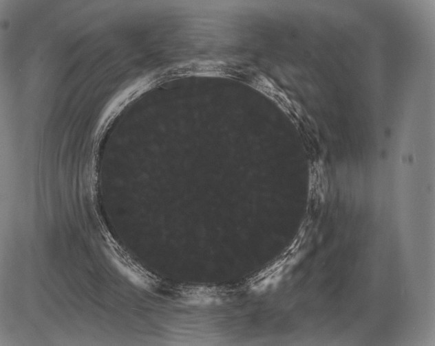 X0000085040293200704021301