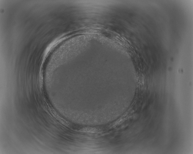 X0000085040294200704021301