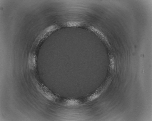 X0000085040308200704021300