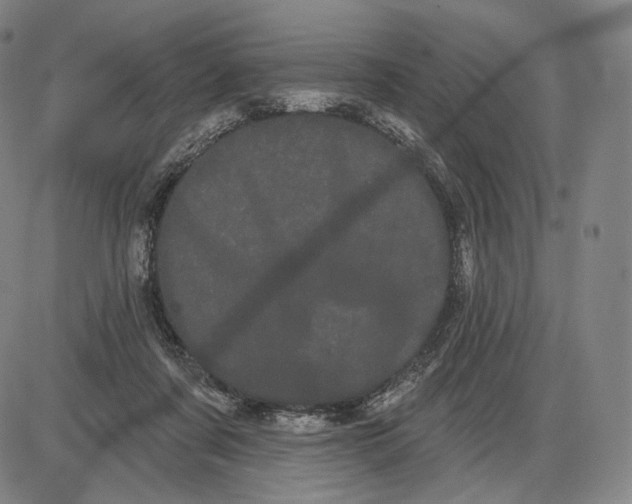 X0000085040311200704021300