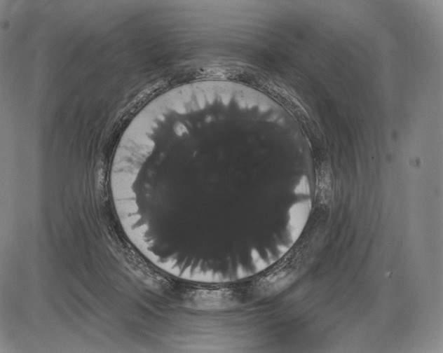 X0000085040314200704021300