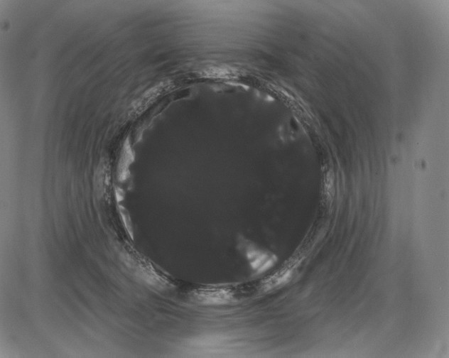 X0000085040322200704021300