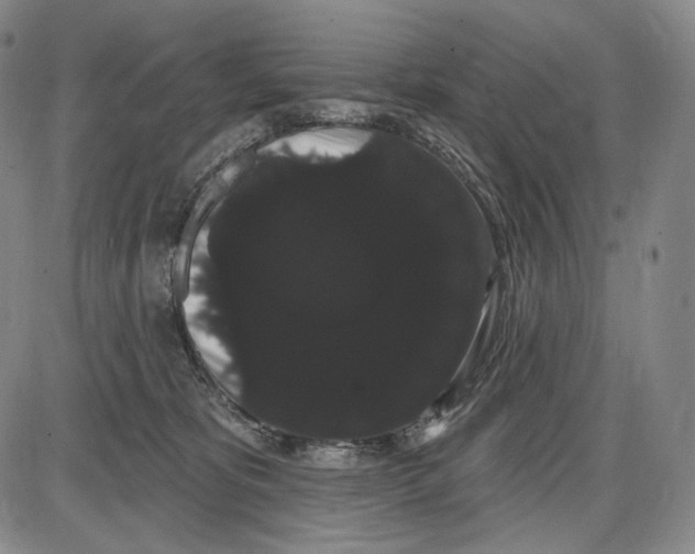 X0000085040325200704021300