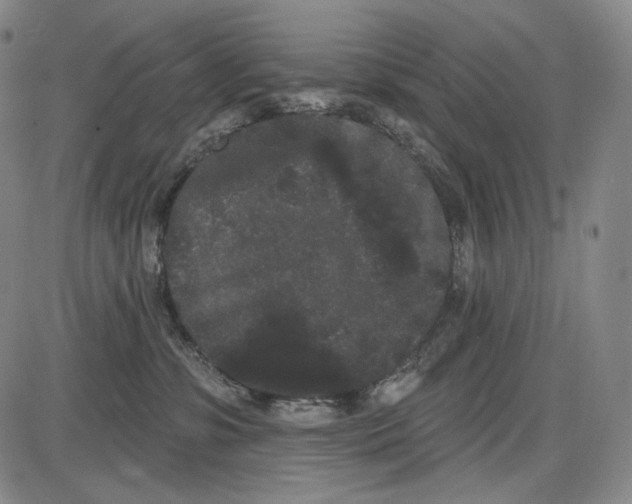 X0000085040331200704021300