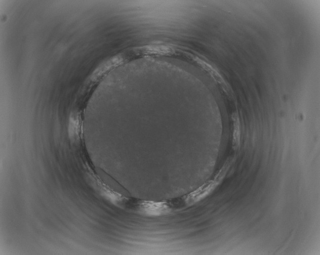 X0000085040333200704021300
