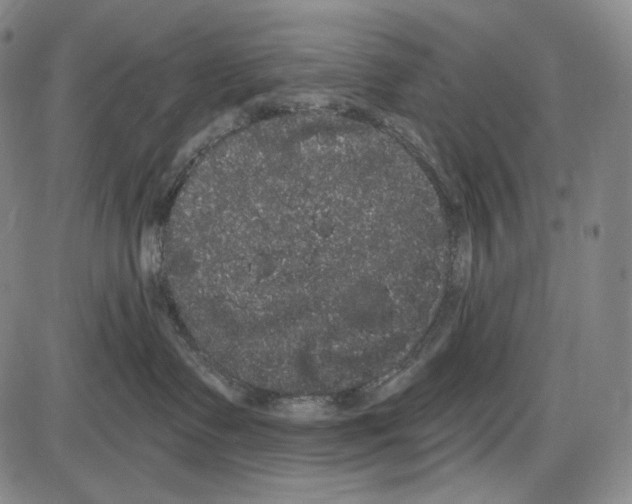 X0000085040335200704021300
