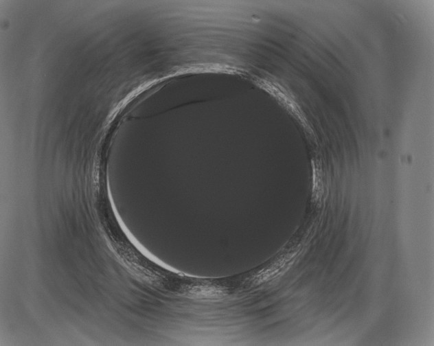 X0000085040348200704021259